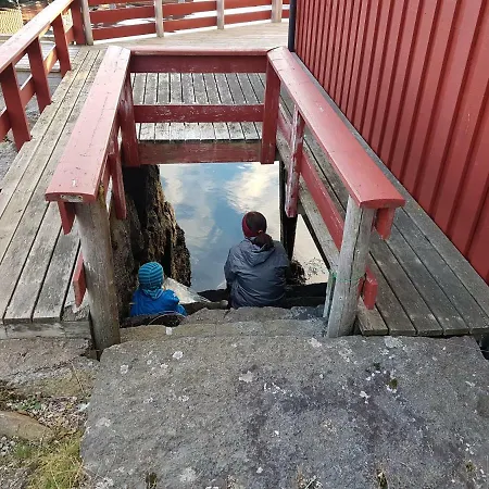 Nordlysbua *